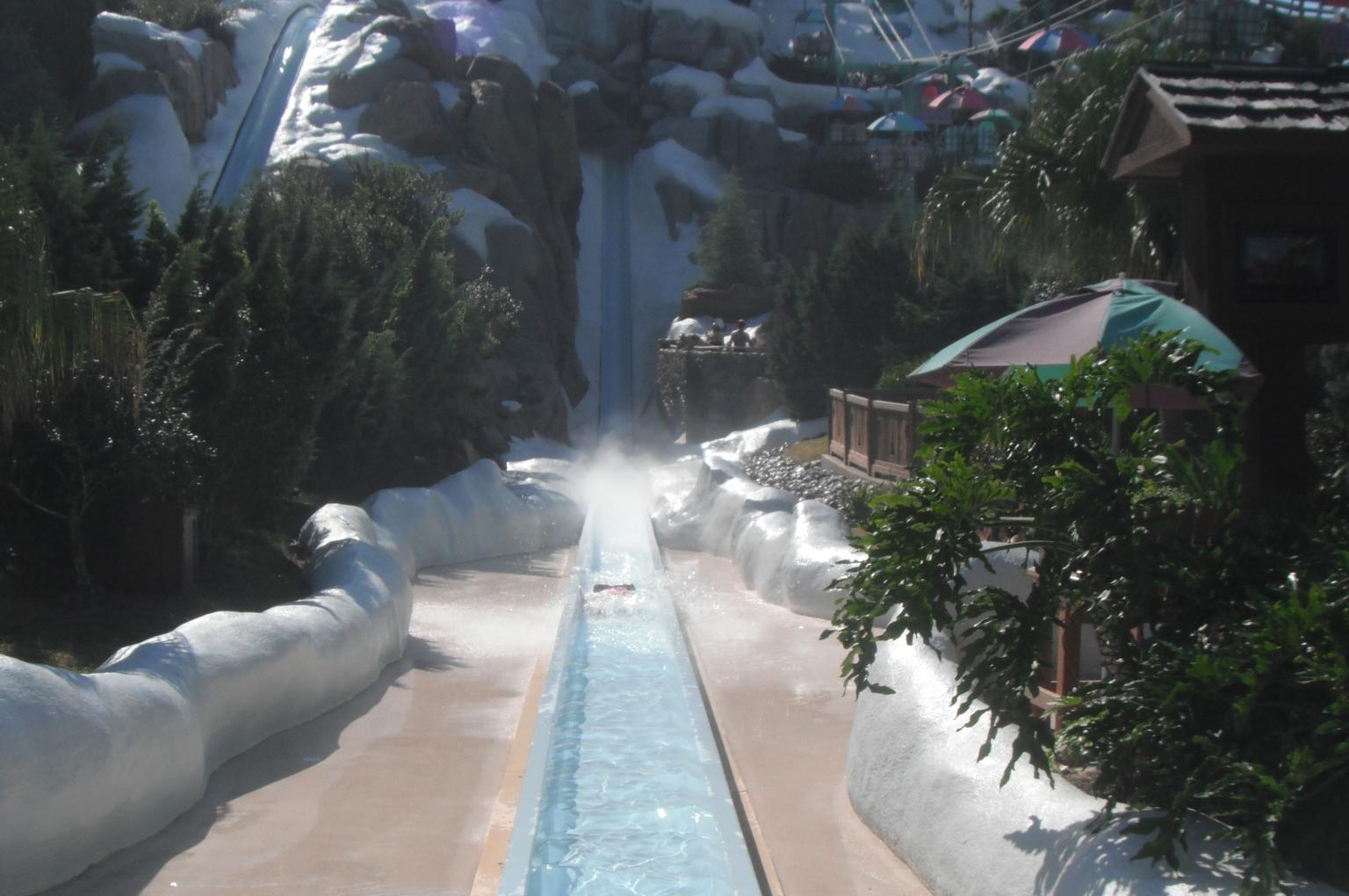 Water Slide at Disney Park