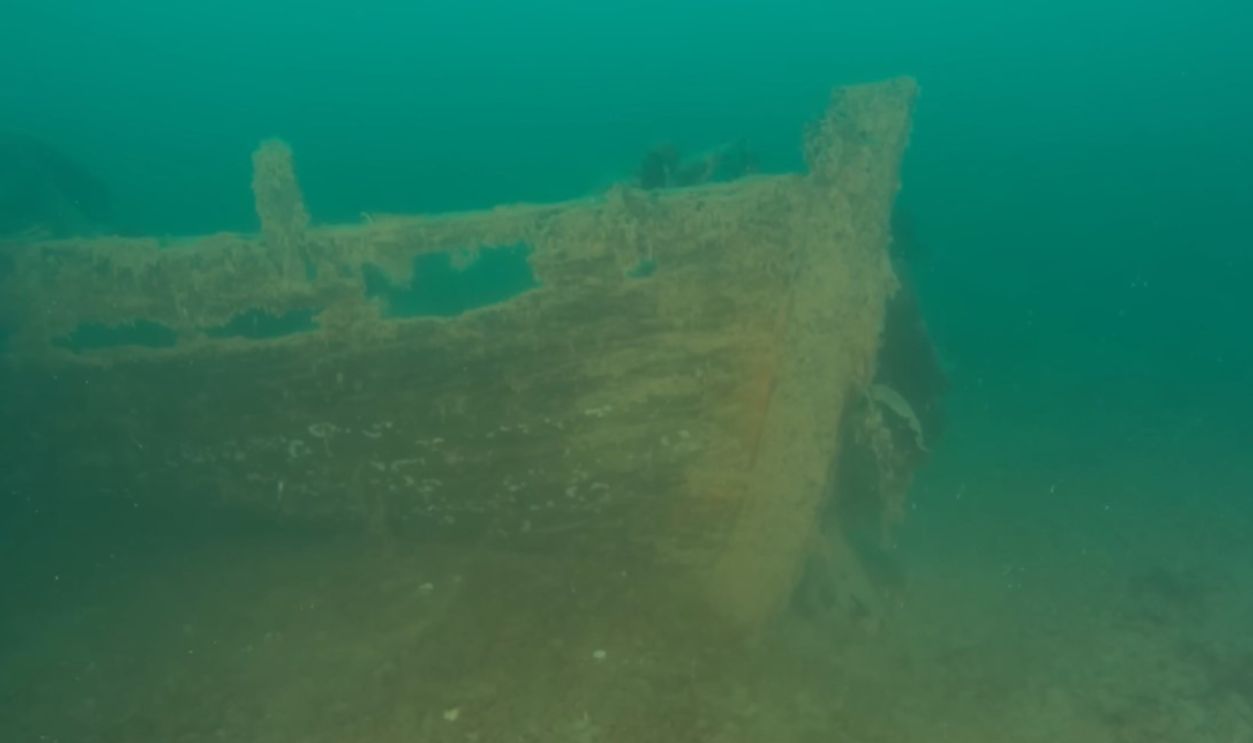 Arctic Research Foundation