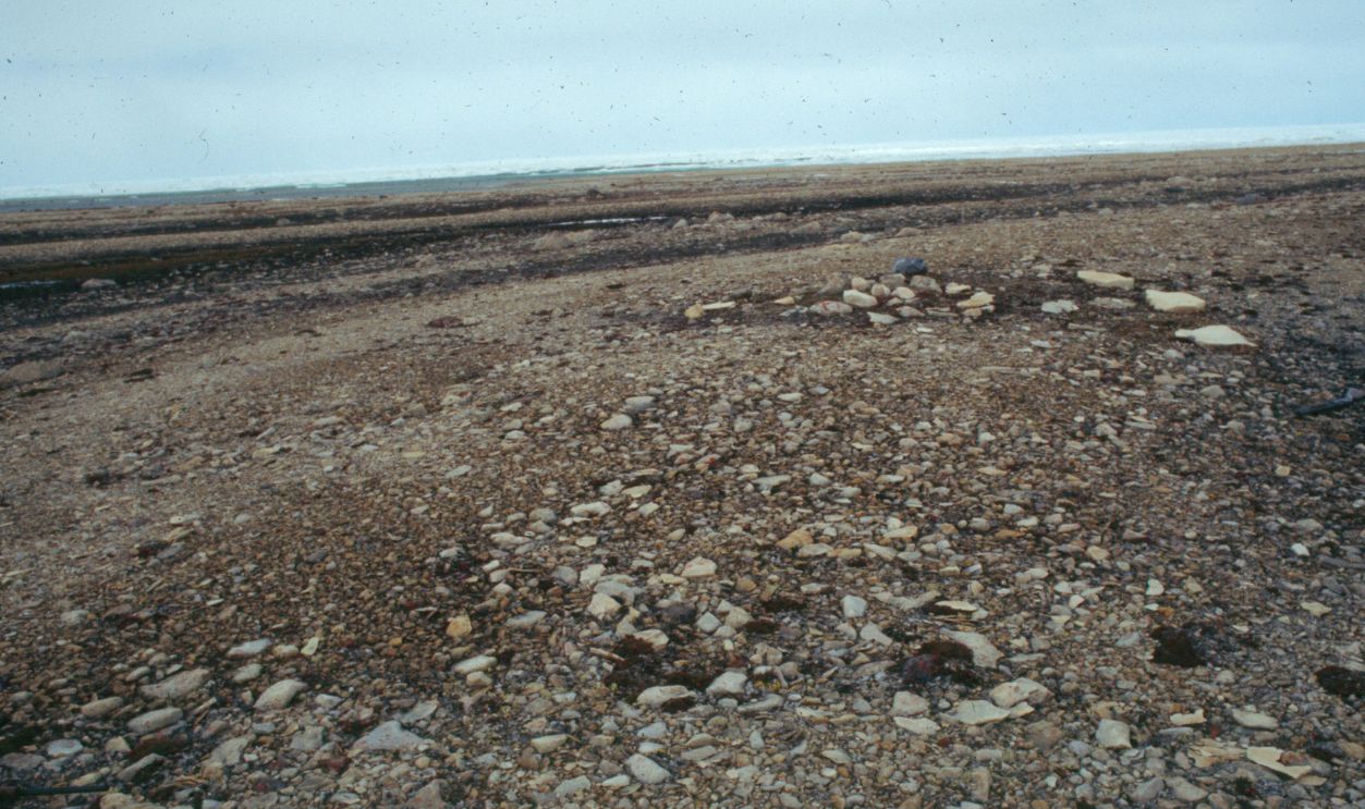 Archaeological Findings 