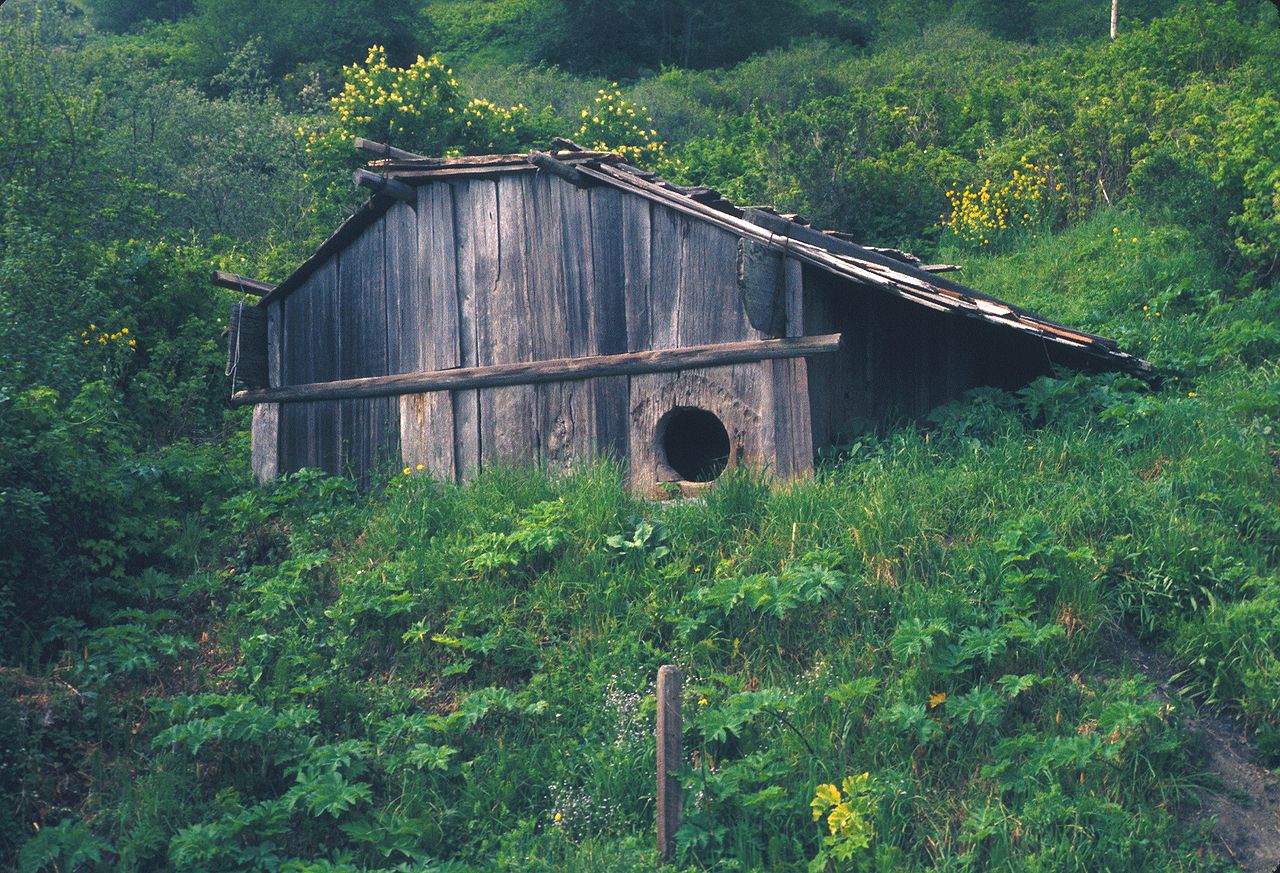Reconstructed plank house of the Yurok nation