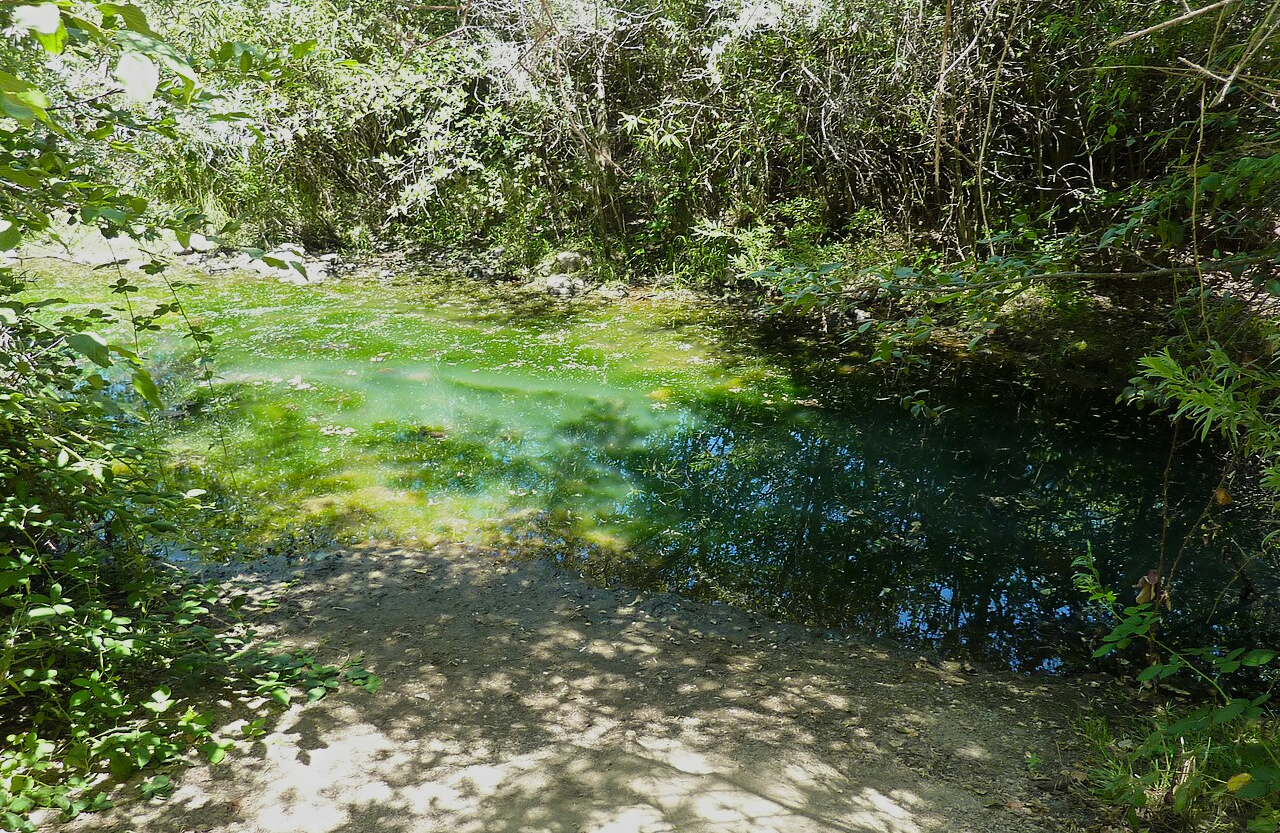 The spot where James W. Marshall discovered gold