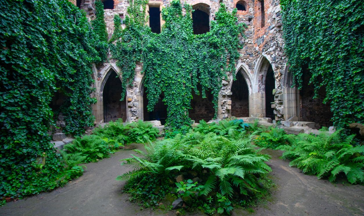 Rosa Coeli Monastery