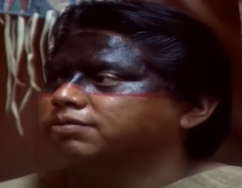 Screenshot from the film Sacagawea (2003)