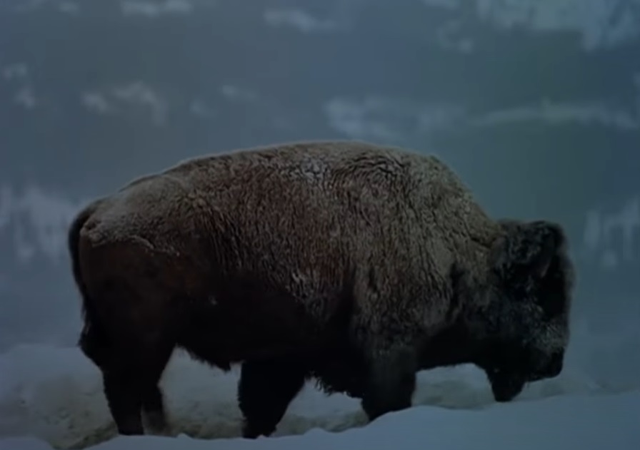 Screenshot from the documentary film Lewis & Clark: Great Journey West (2002)