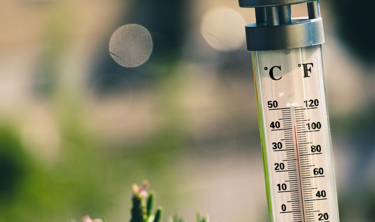 Temperature in Fahrenheit