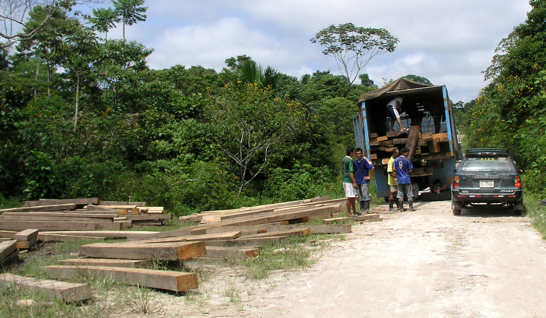 File:Bois exploitation P1010627mod.jpg