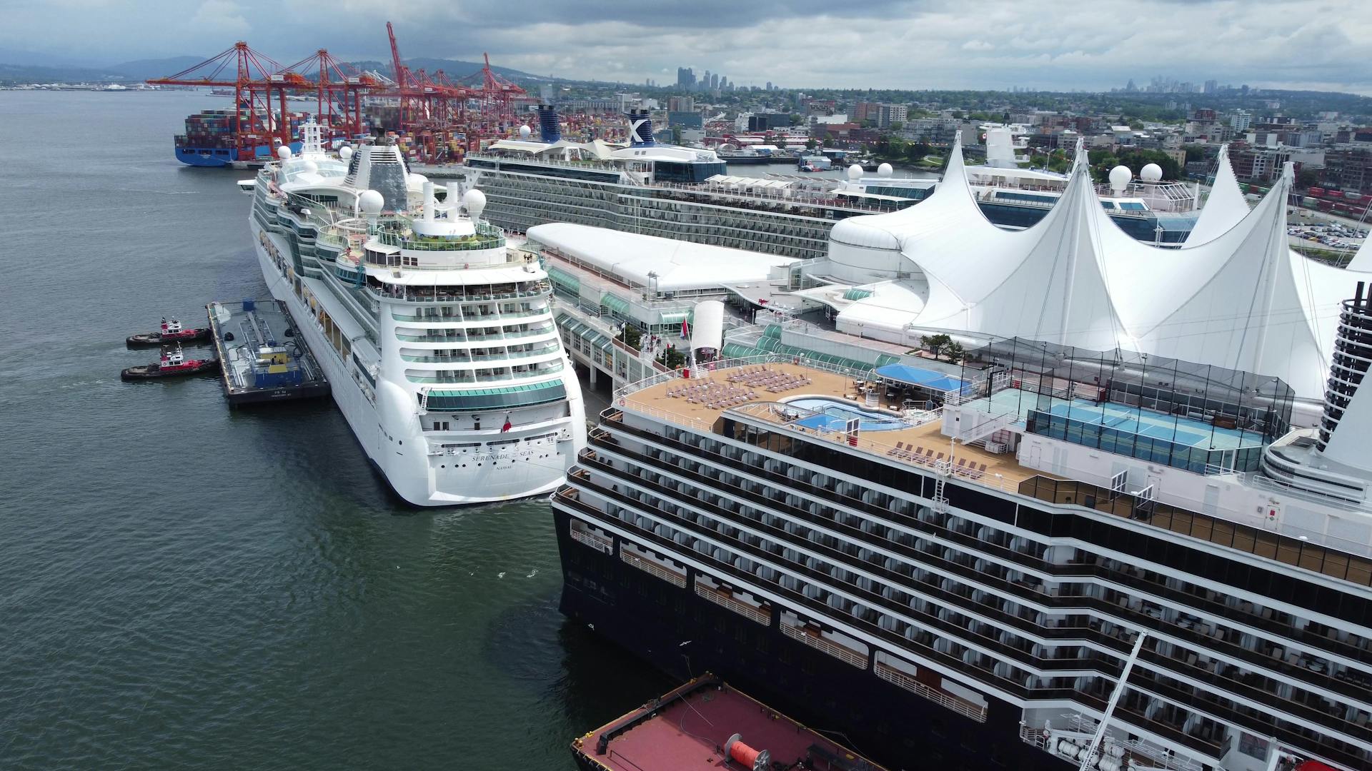 Cruise Ships on a busy shore
