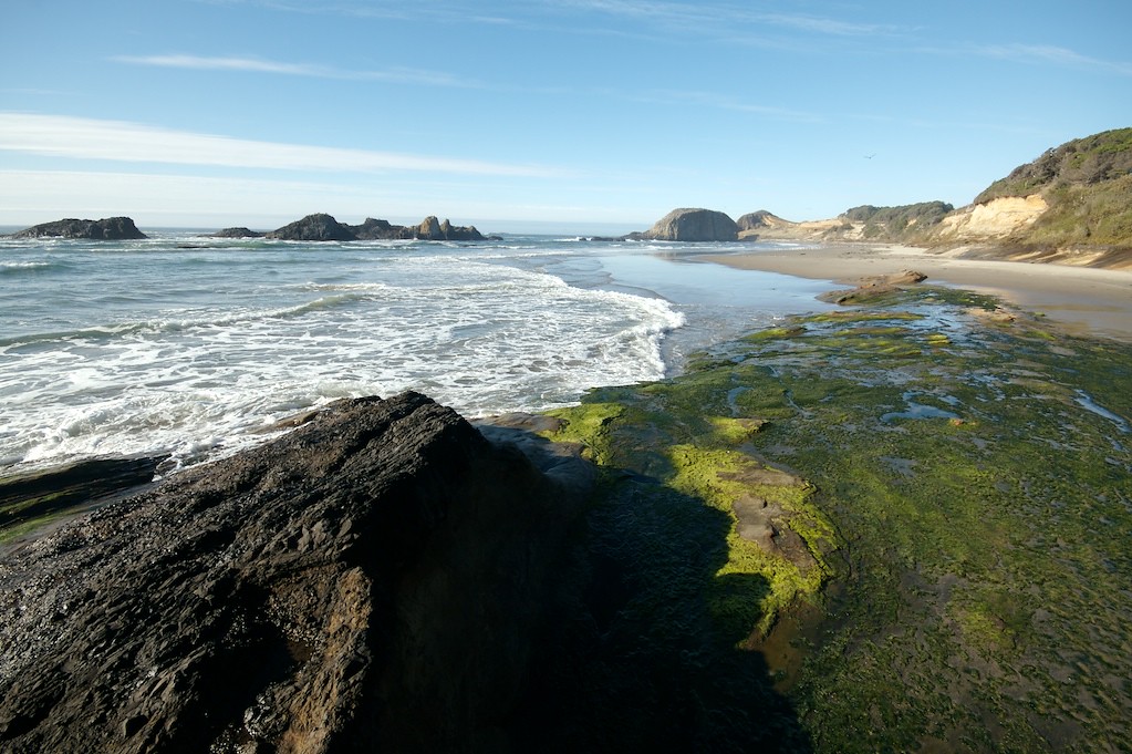 Oregon Rocky Beach during the day