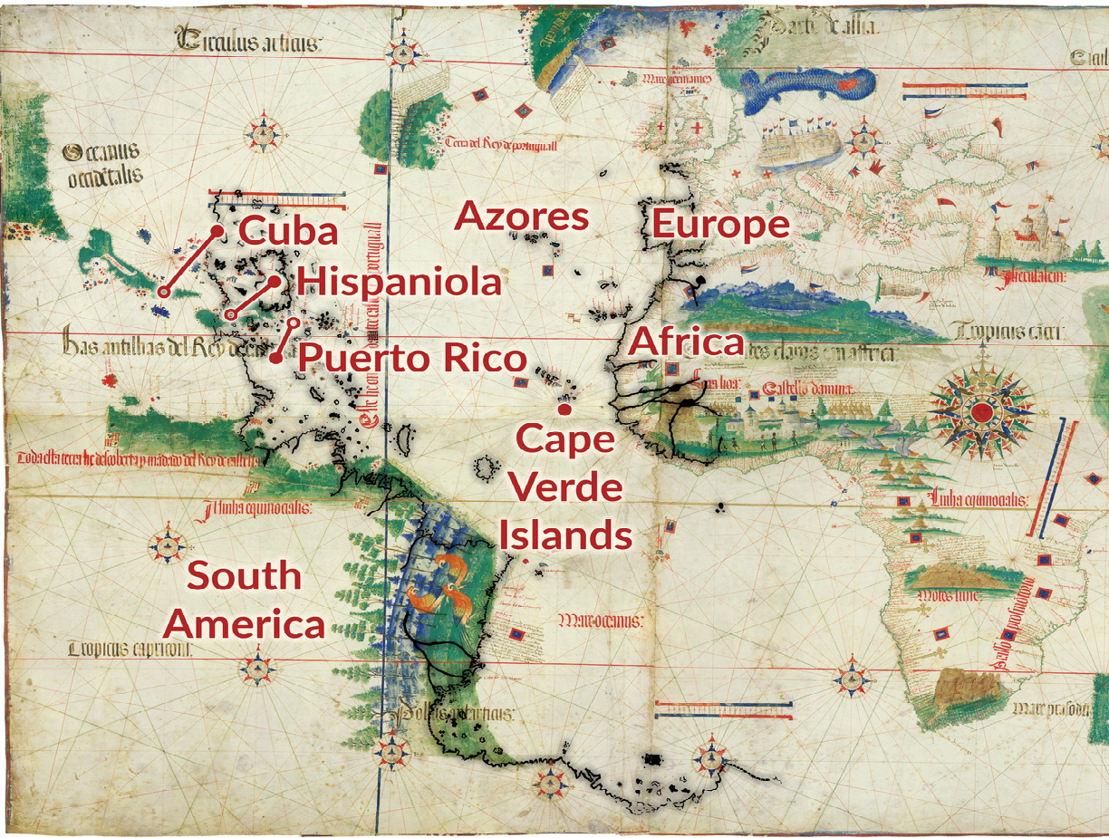 A comparison of the 1513 Piri Reis map (black lines) against a section of the 1503 Cantino Planisphere