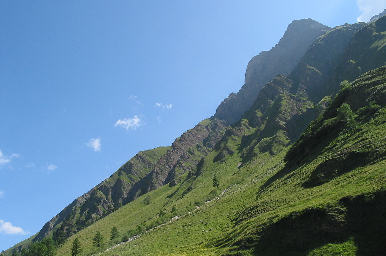 South-eastern slope of Val Ferret