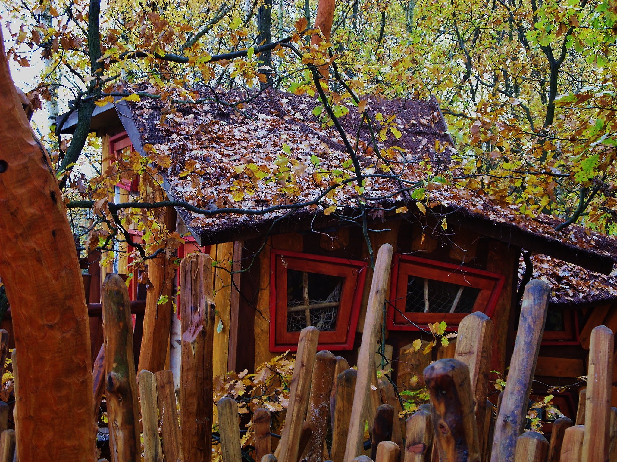 Baumhaus Hotel located in Germany