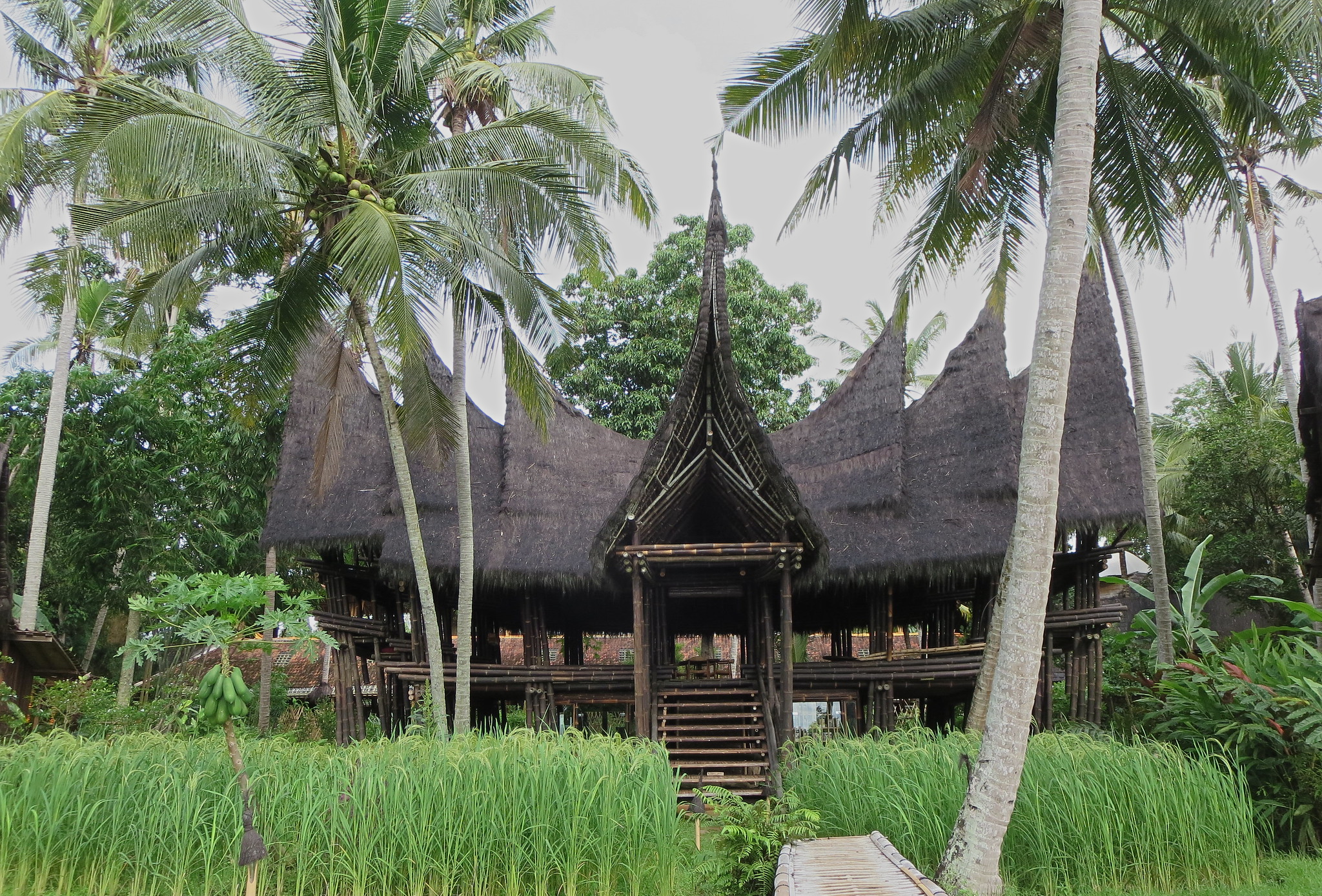 Rice Terraces View from Bambu Indah hotel