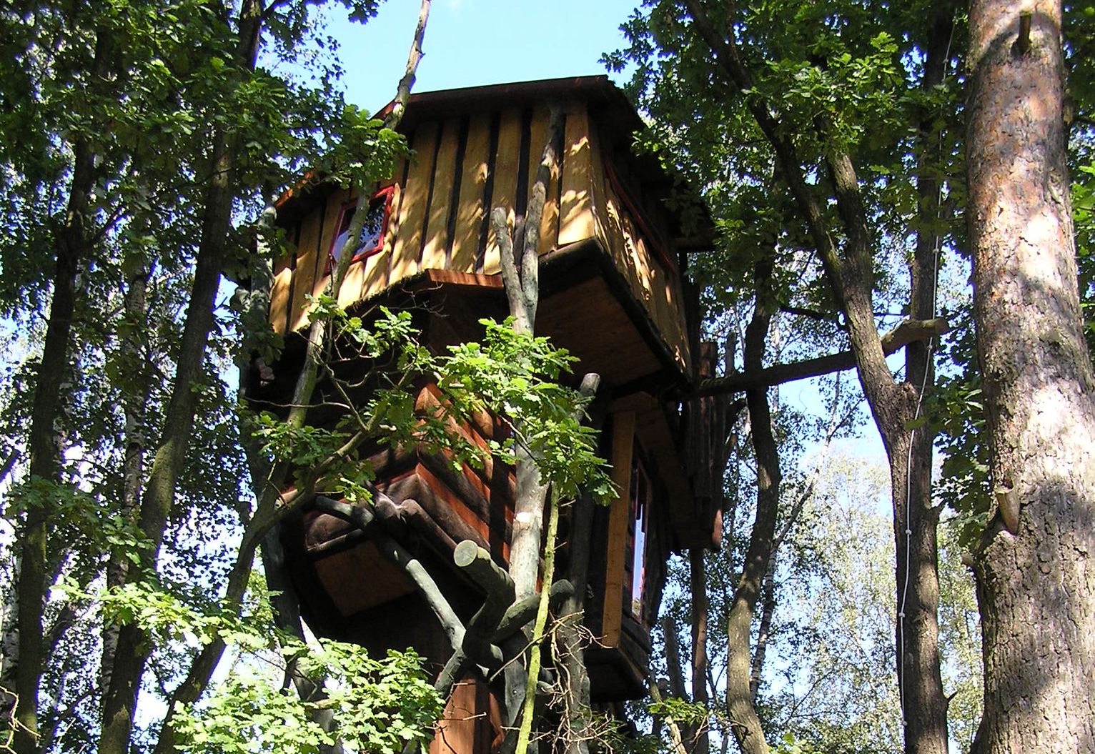 Baumhaushotel in the woods of Germany