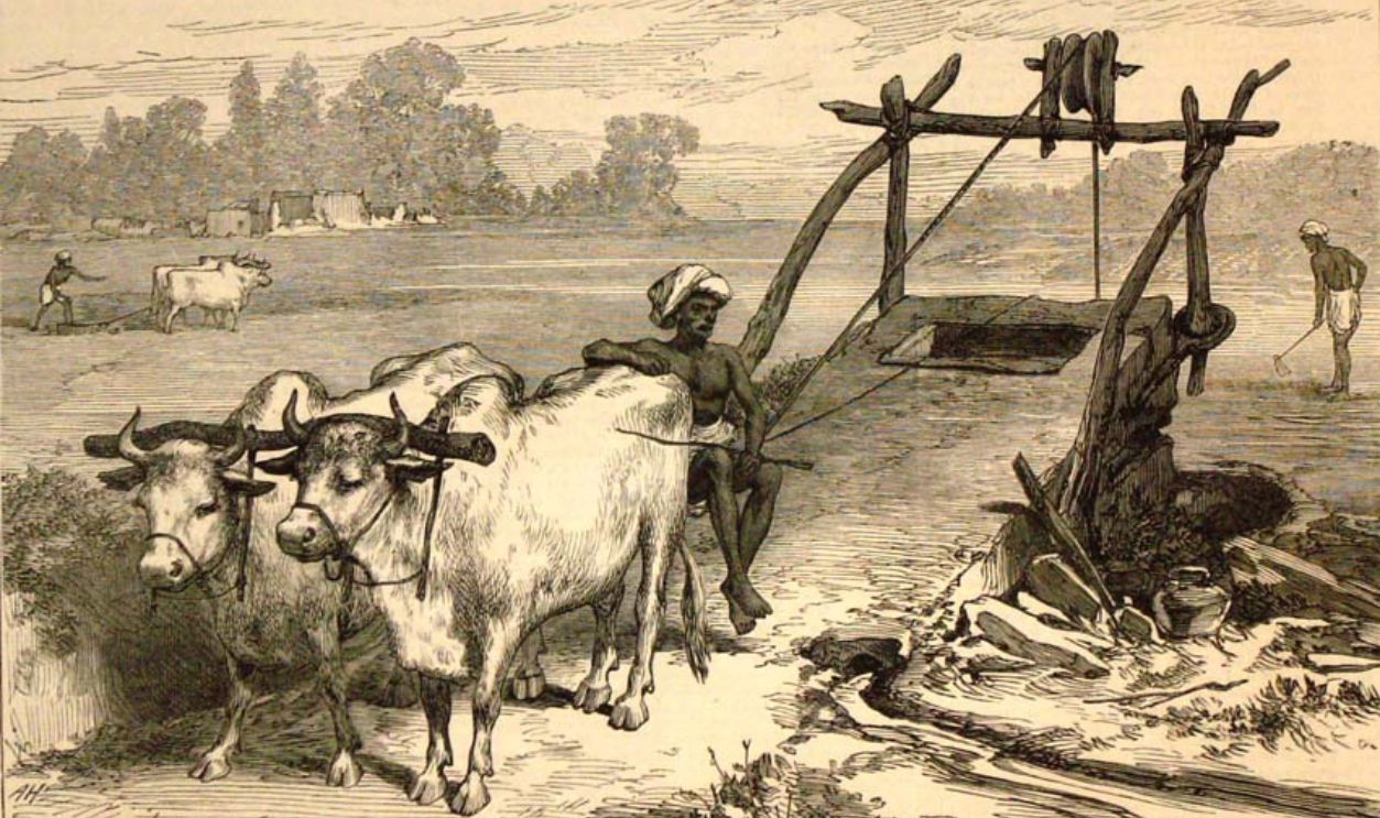 Agriculture 