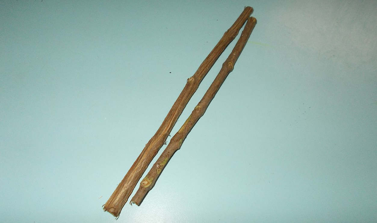 Dental Practices in Ancient Roman 