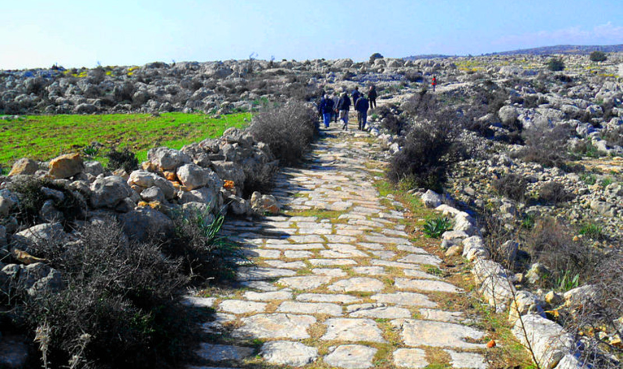 Ancient Roman Road Networks