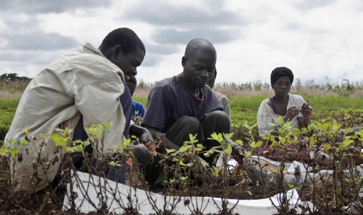 Malawi, Southeast Africa 