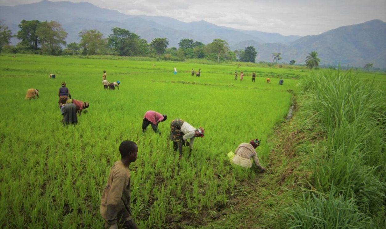 DR Congo, Central Africa