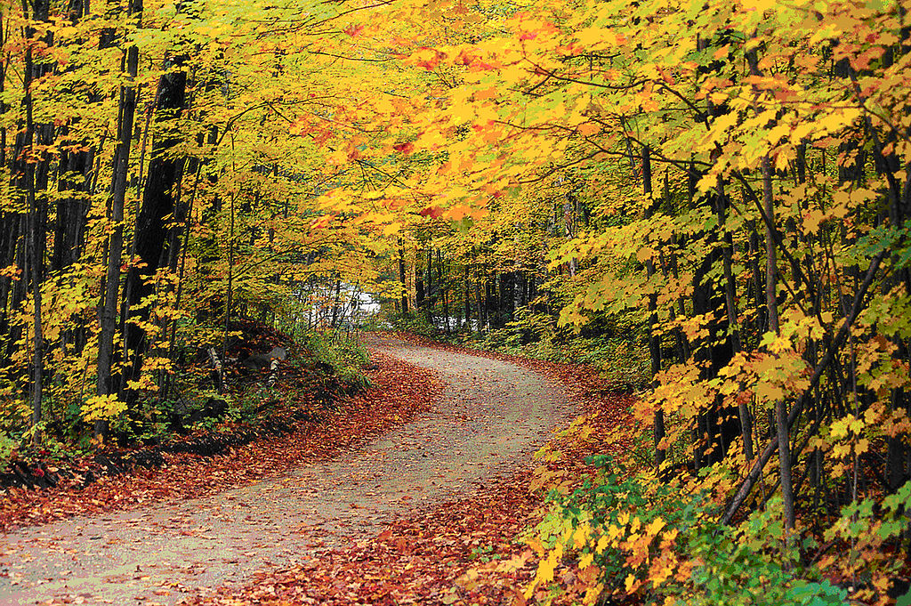 The Hapgood Pond Recreation Area of the Green Mountain National Forest