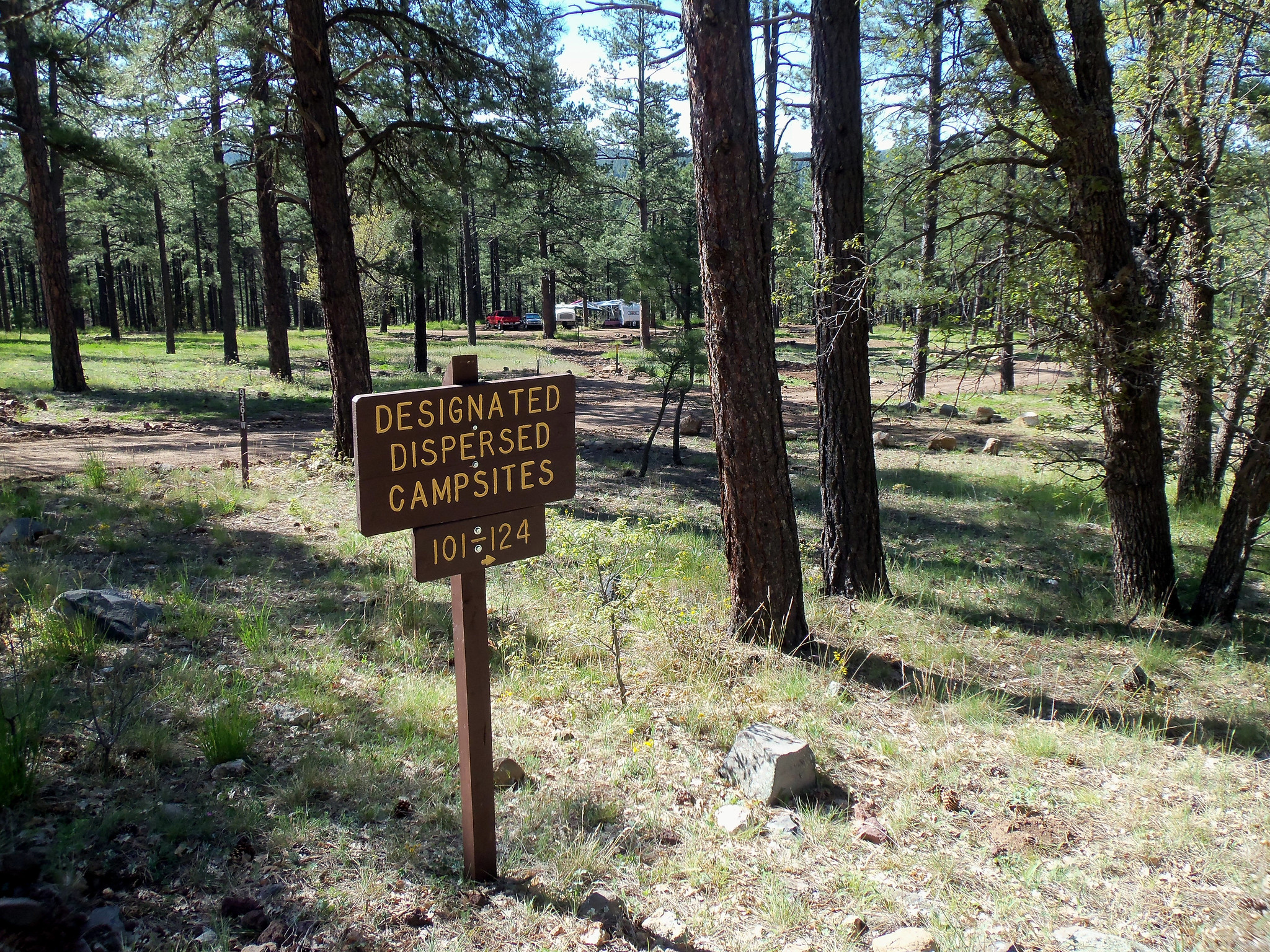 Pumphouse Wash (FR 237) dispersed camping area Campsite Loop