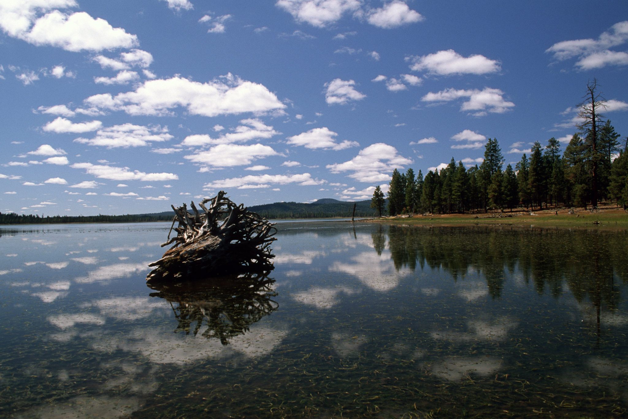 Fremont Winema National Forest - 2000