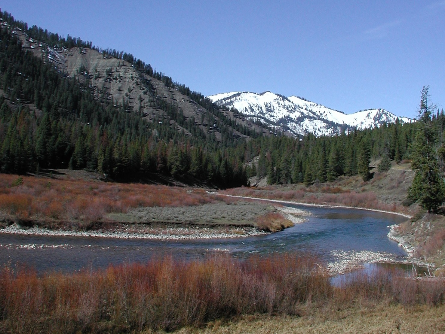 Bridger-Teton National Forest