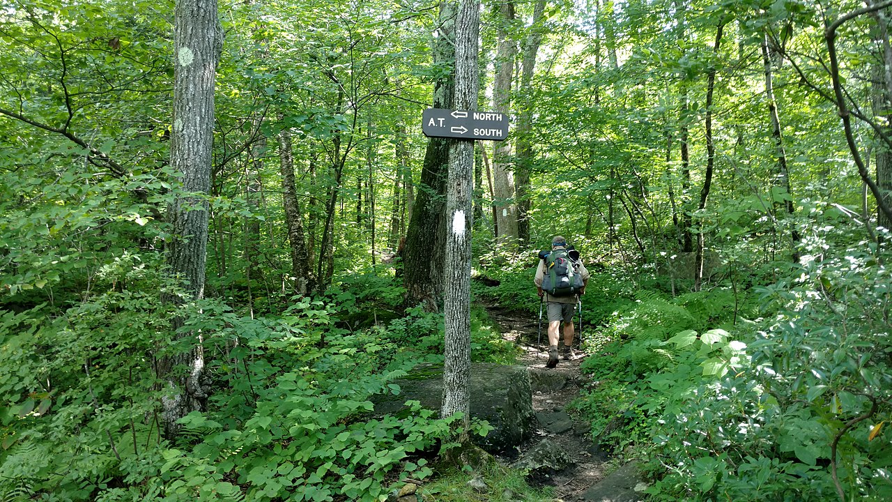 Hiker on Appalachian Trail in Beartown State Forest, Massachusetts