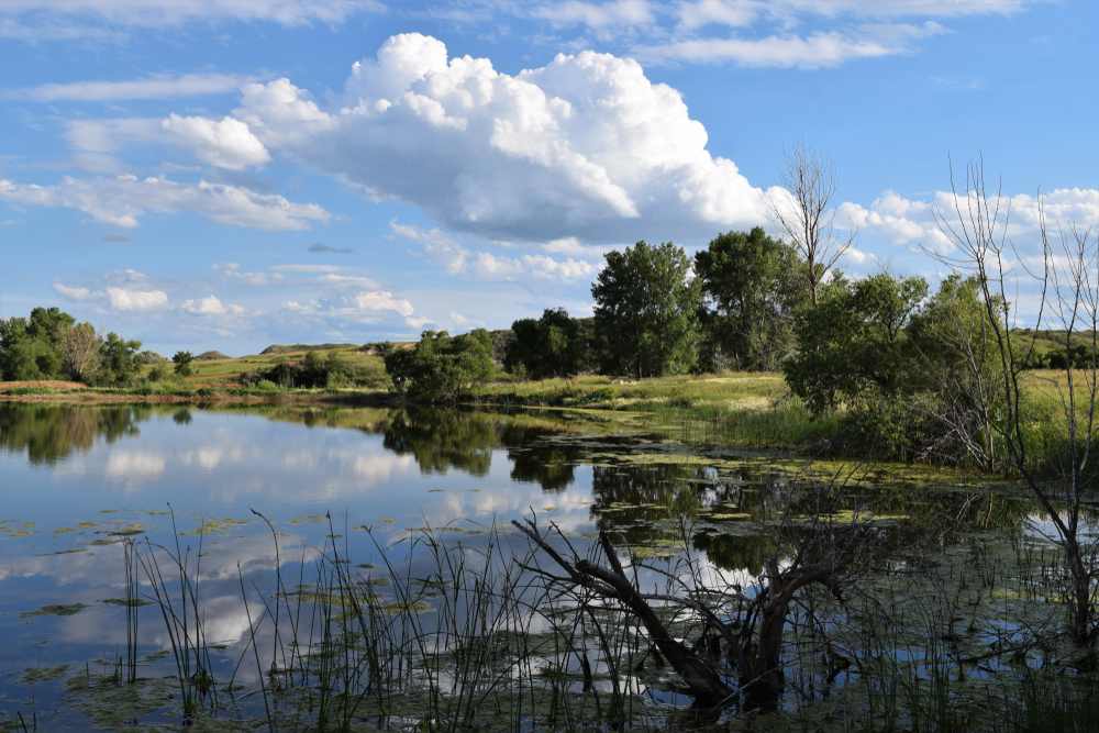 Calm prairie lake with cloud and tree reflections. Camel Hump Lake, North Dakota