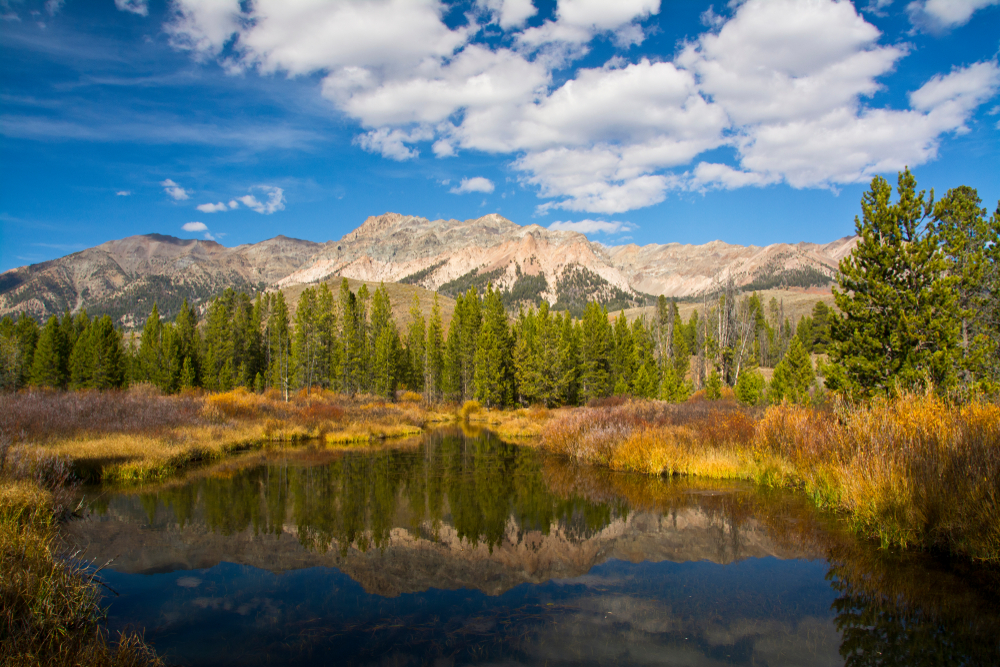 Evergreens and Boulder Mountains, autumn reflection, Big Wood River, Sawtooth National Forest, Idaho, USA
