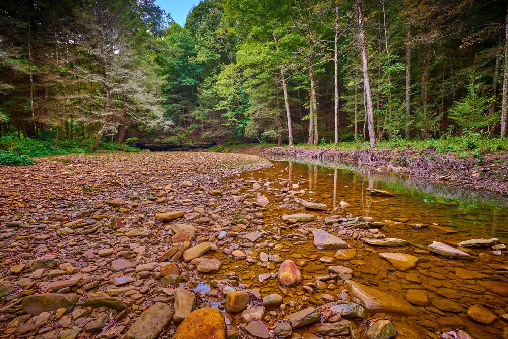 The rocky shoreline of War Fork Creek located near Turkey Foot Campground in Jackson County, KY.