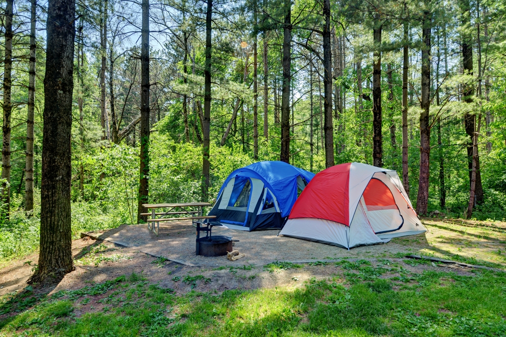 Tent camping in the white pine forest at Maquoketa Caves State Park, Iowa