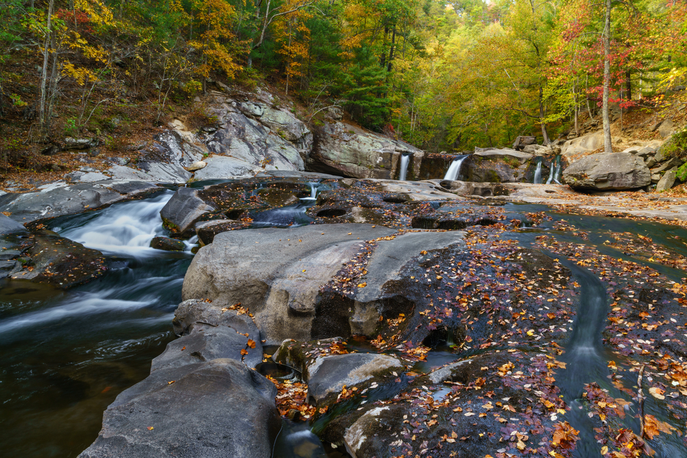 Tellico Plains, Cherokee National Forest. Appalachian Mountains, Tennessee