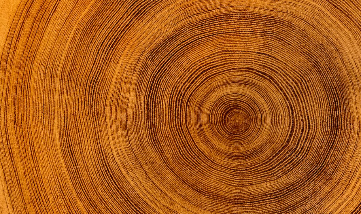 Tree rings