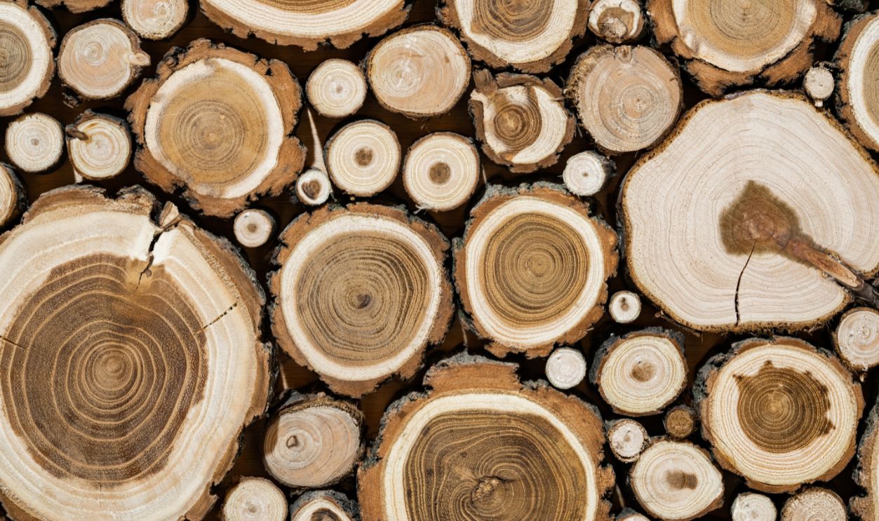 Tree Rings