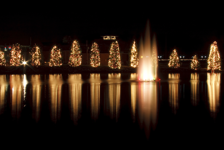 Decorational lights on trees
