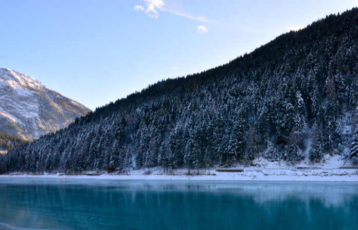 Winter lake and forest
