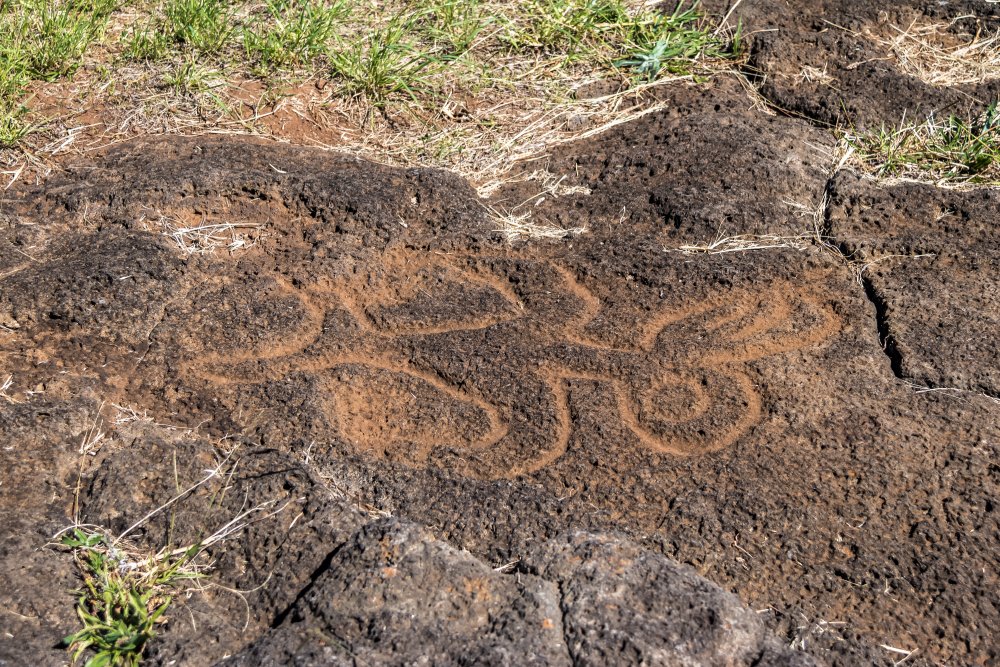 Birdman Petroglyph carvings near Ahu Tongariki platform, Easter Island, Chile