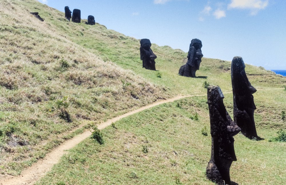 A group of moai statues stand partially buried in a grassy field on Easter Island (Rapa Nui)