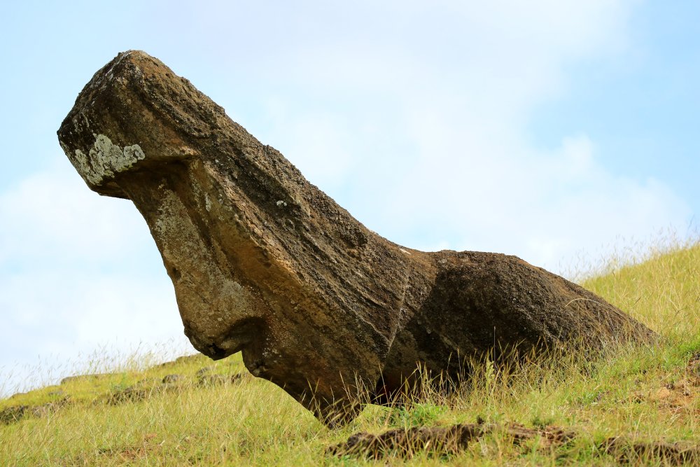 A moai statue stand partially buried in a grassy field on Easter Island (Rapa Nui)