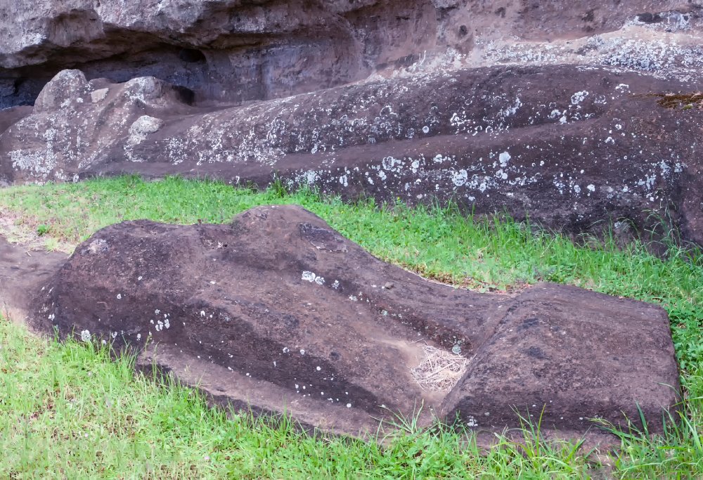 This image shows an unfinished moai statue lying on the ground at Rano Raraku