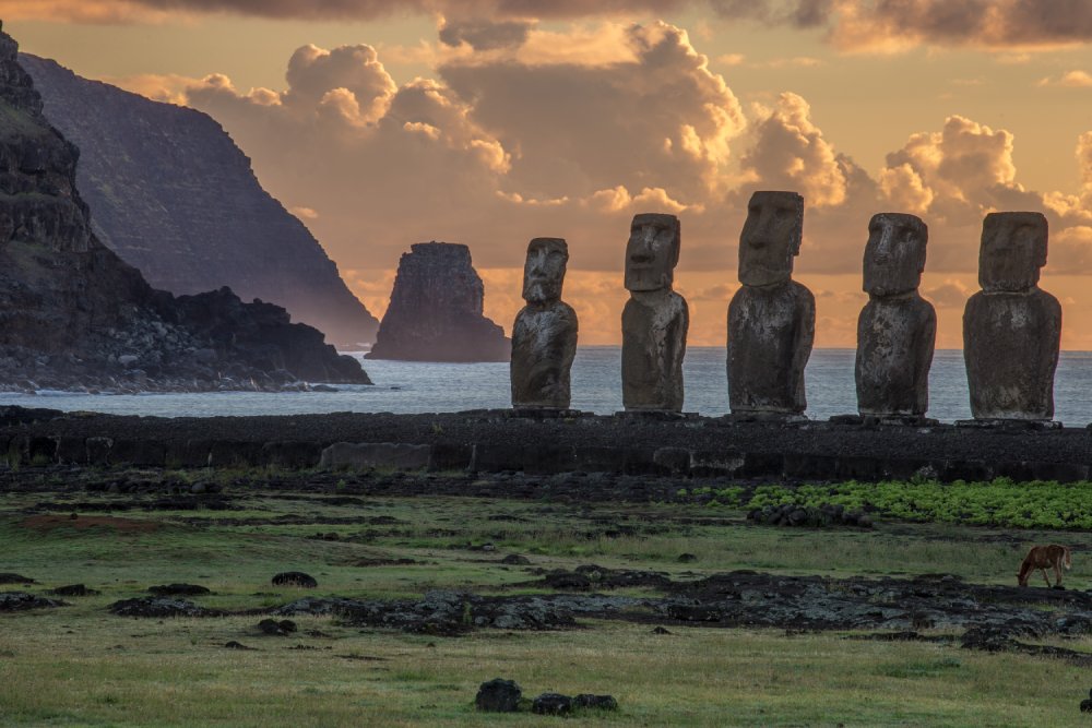 A line of moai statues stand tall on a grassy field on Easter Island (Rapa Nui)