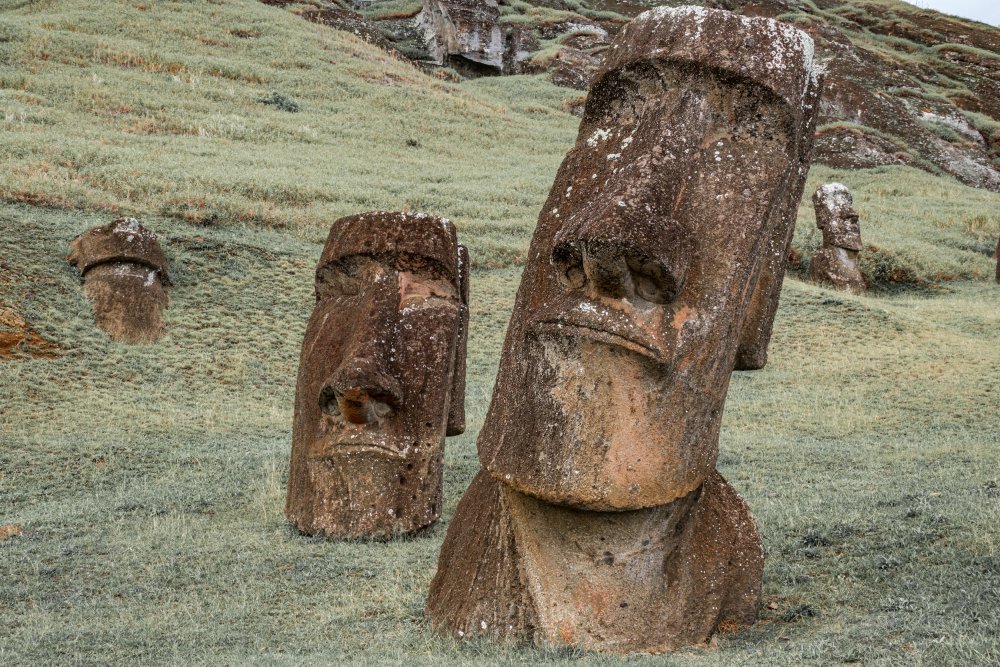 A group of moai statues stand partially buried in a grassy field on Easter Island (Rapa Nui)
