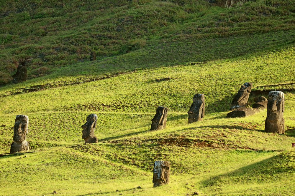 Many of Abandoned Gigantic Moai Statue Ruins on the Slope of Rano Raraku Volcano