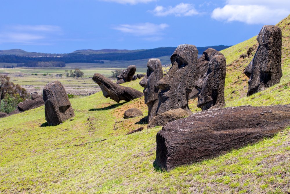 A group of moai statues stand partially buried in a grassy field on Easter Island (Rapa Nui)