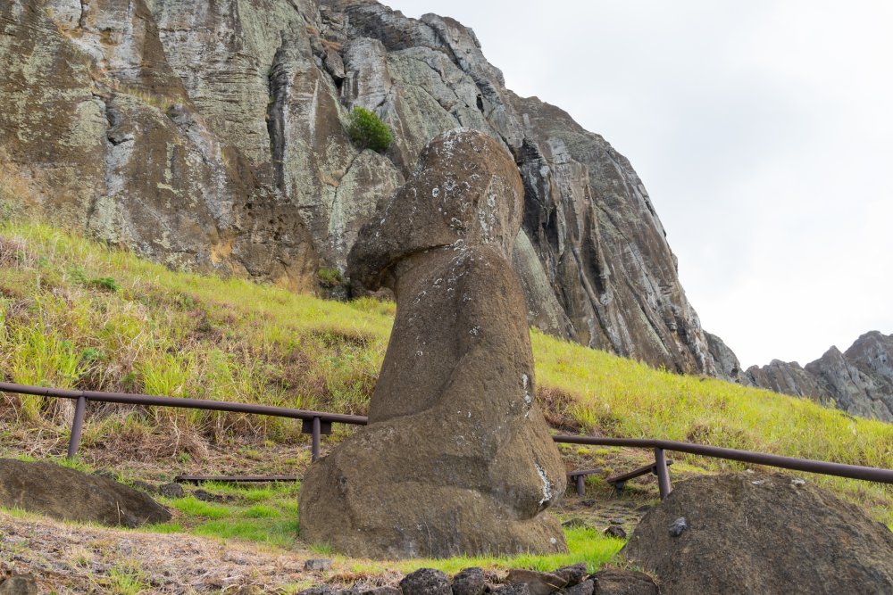 Side view of Moai Tukuturi head showing beard at Rano Raraku, Easter Island
