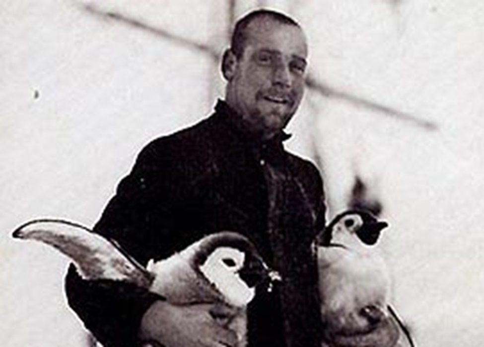 Hubert Hudson with young emperor penguins, Imperial Trans-Antarctic Expedition - 1914