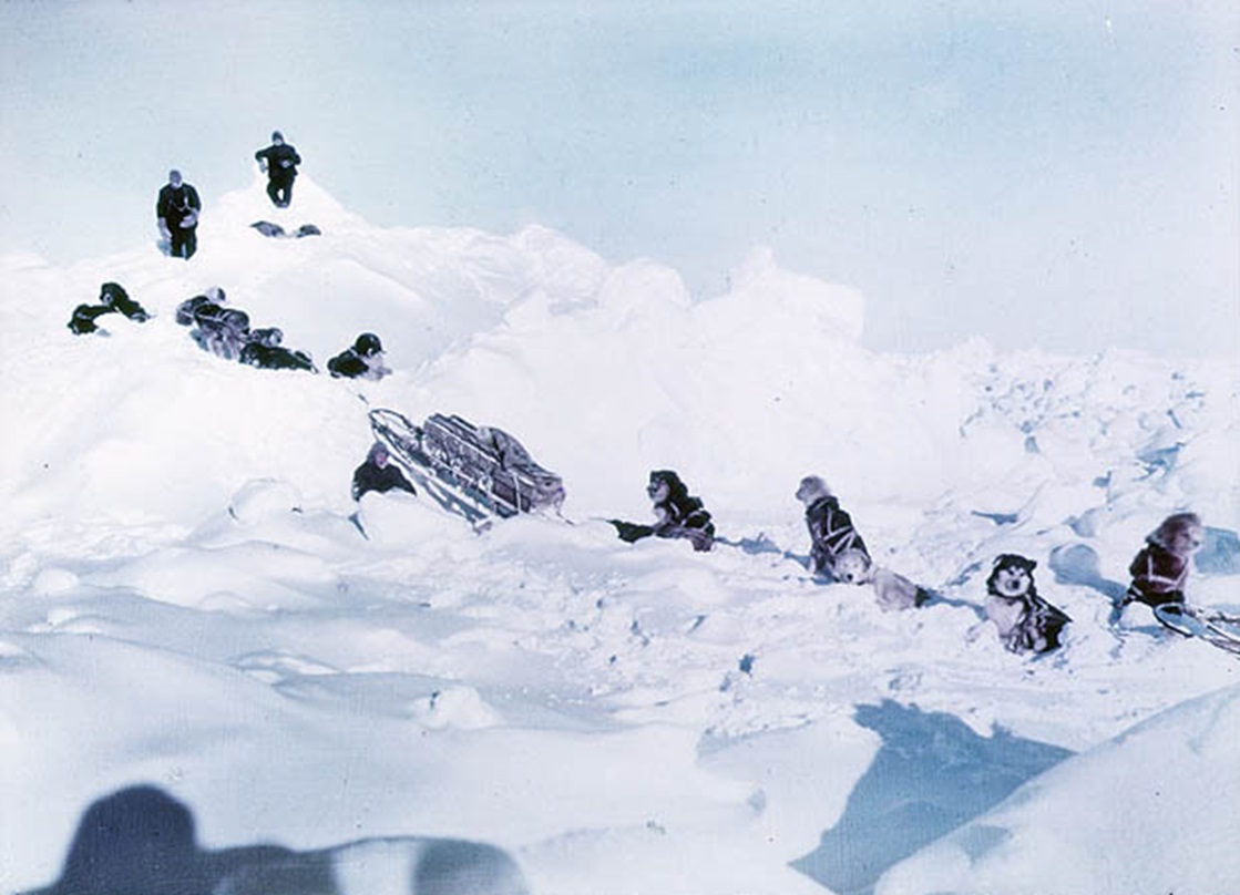 Dog Teams Scouting A Way To The Land, 1915