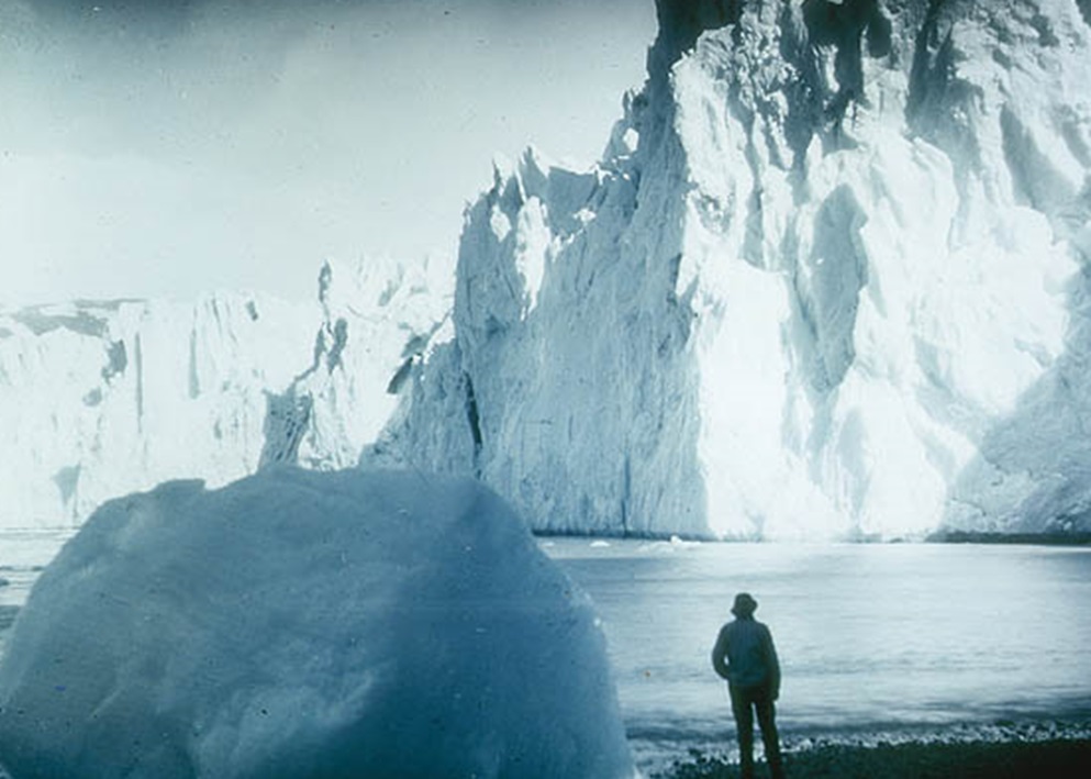 Face Of The Neumeyer Glacier, 1915
