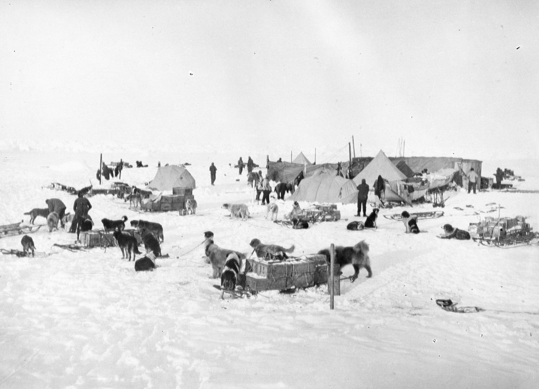 Ocean Camp Established On The Ice, Weddell Sea
