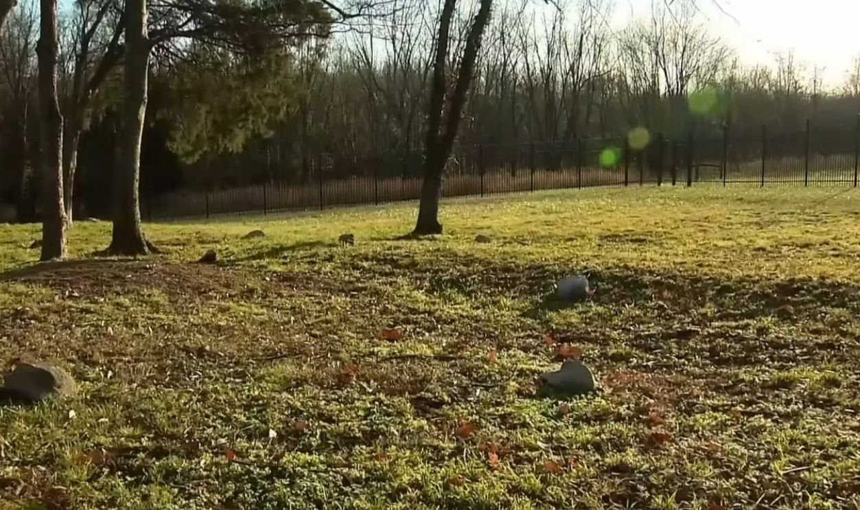 Enslaved People's Graves